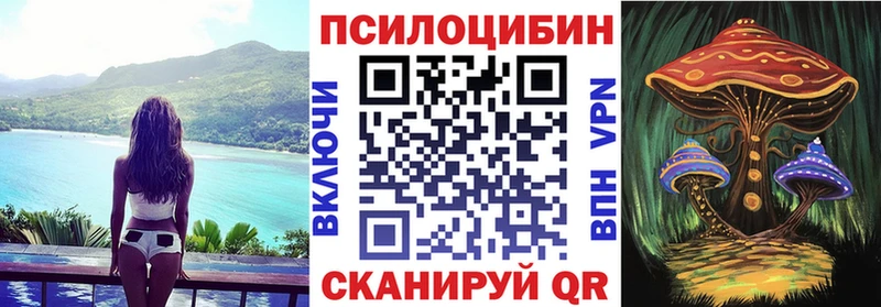 цена наркотик  Пласт  Псилоцибиновые грибы Psilocybe 